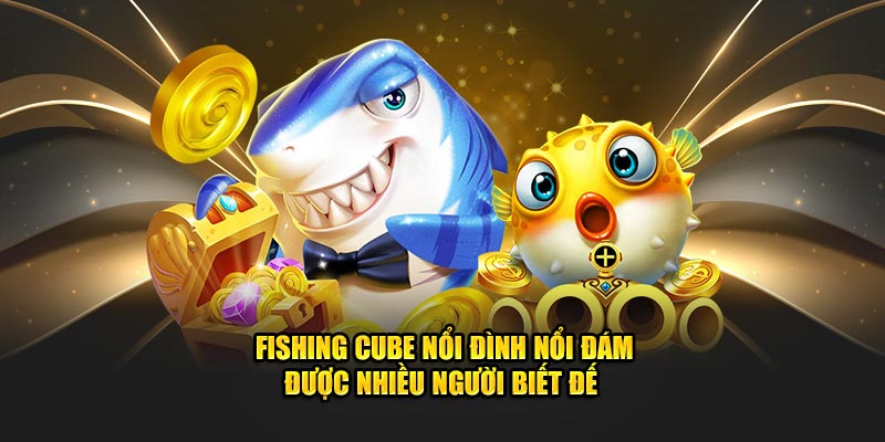 Fishing Cube nổi đình nổi đám được nhiều người biết đến