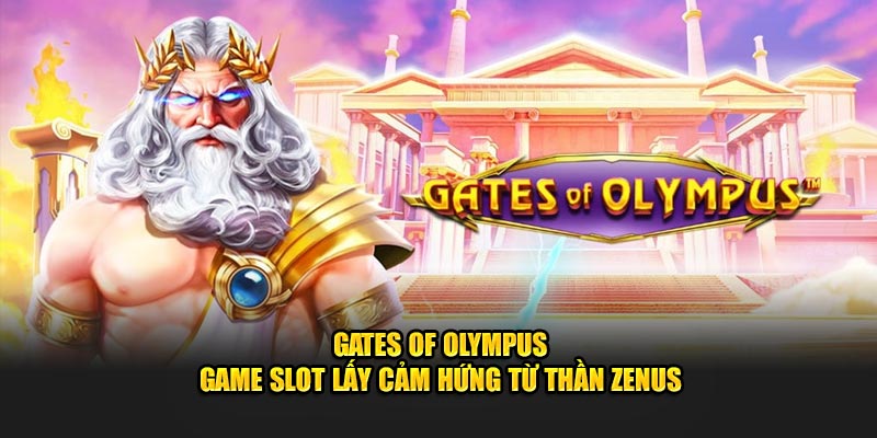 gates of olympus net88