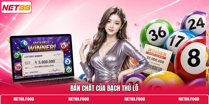 Bạch Thủ Lô Nổi Bật Với Cách Phân Tích Số Chi Tiết Bản chất của bạch thủ lô