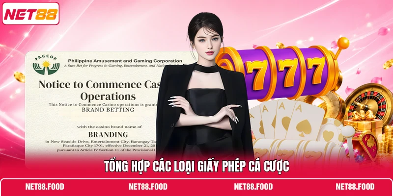Giấy Phép Hoạt Động Tổng hợp các loại giấy phép cá cược